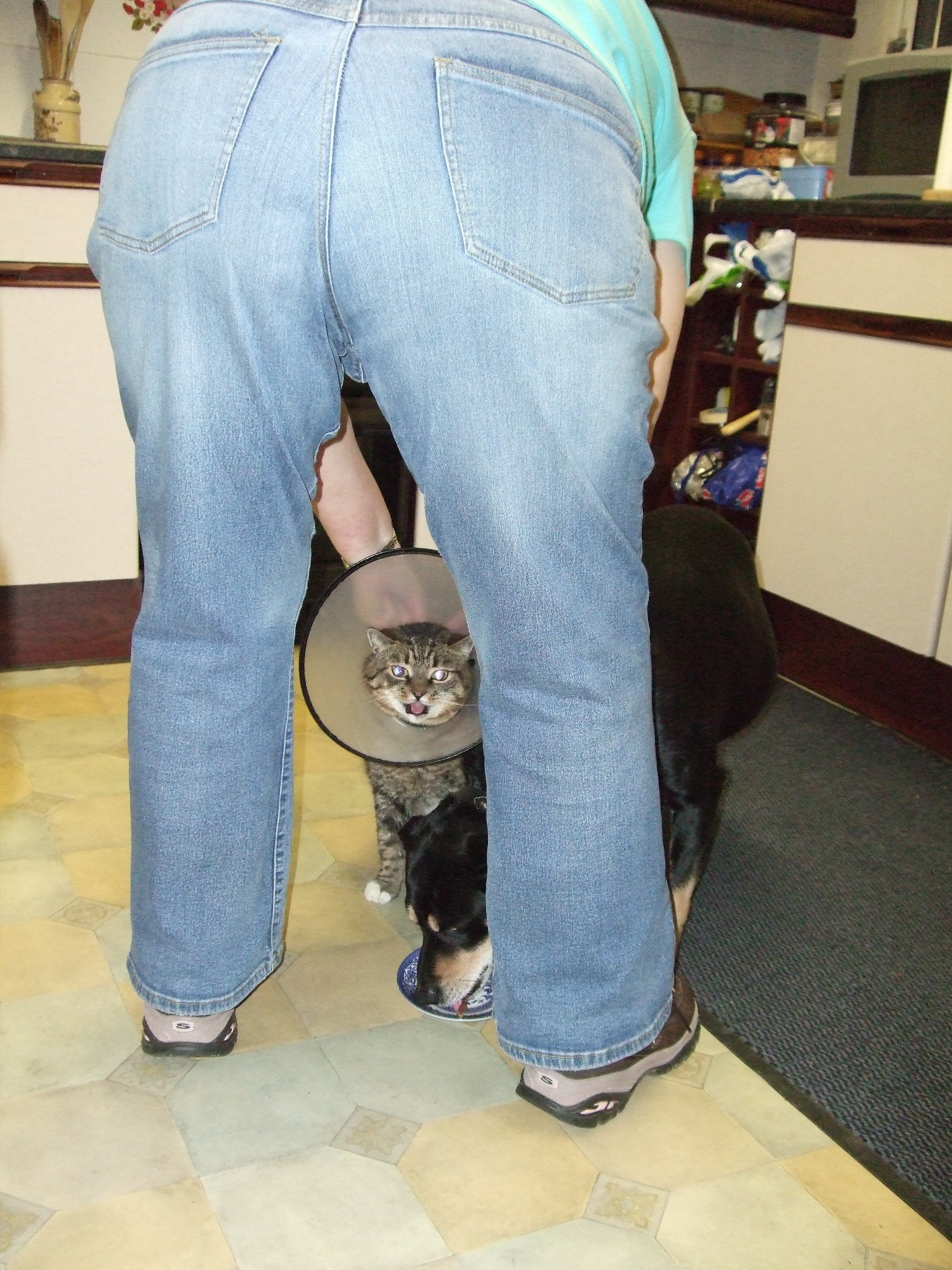 #1 23rd December 2008 Wrestling with Mia